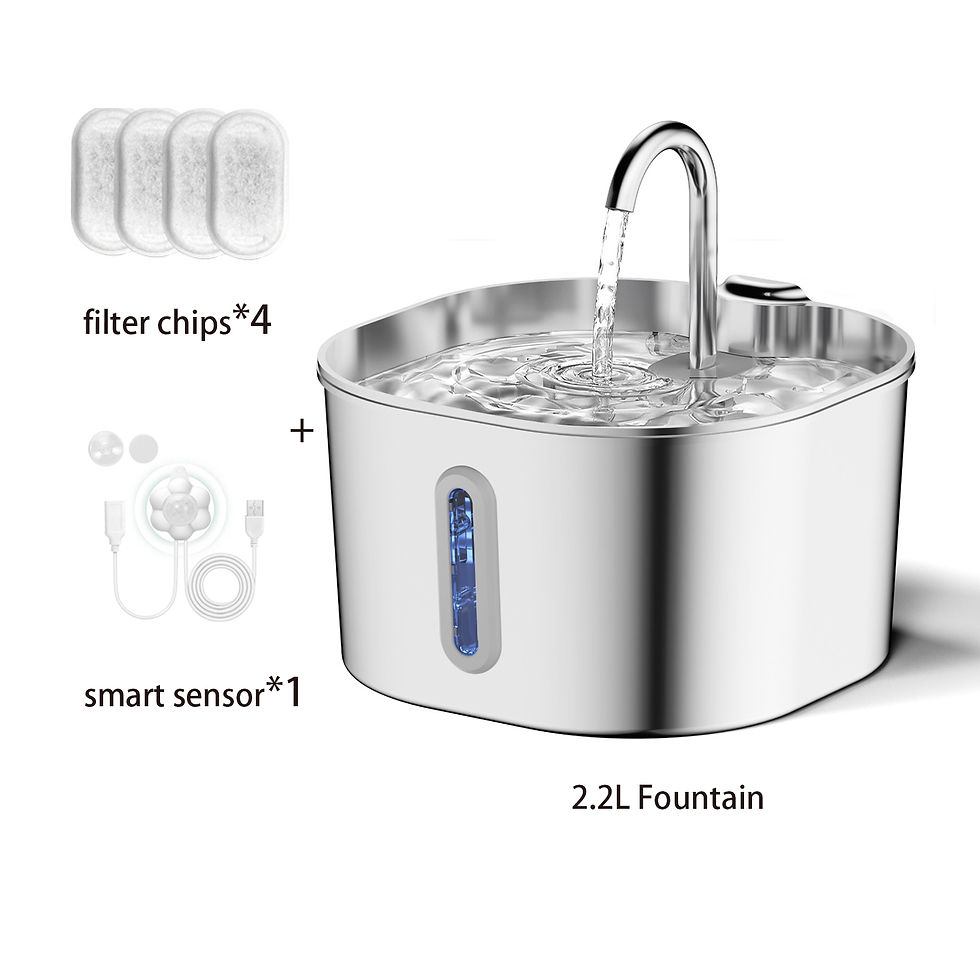 Thumbnail: Automatic Water Fountain 