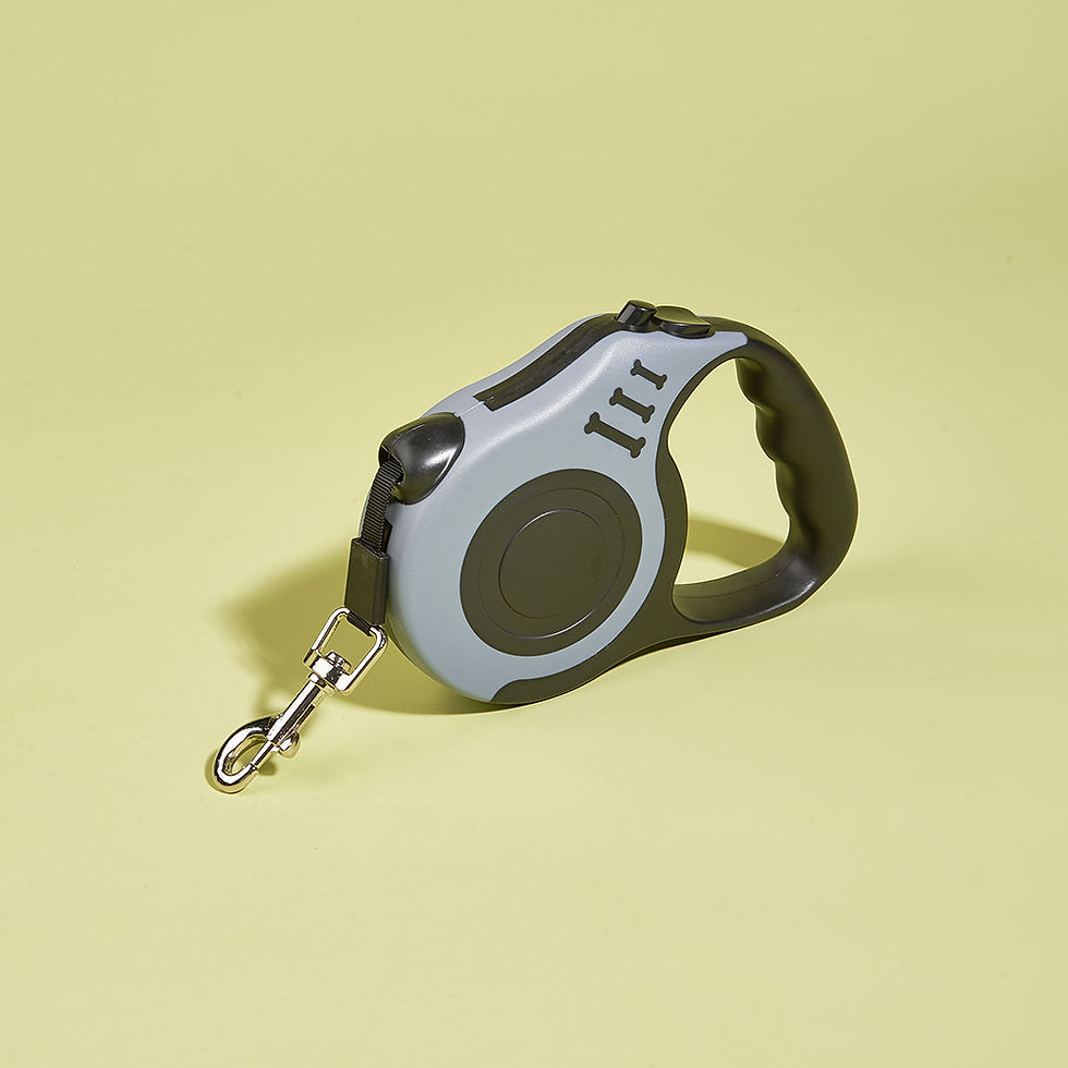 Thumbnail: Automatic Retractable Pet Leash
