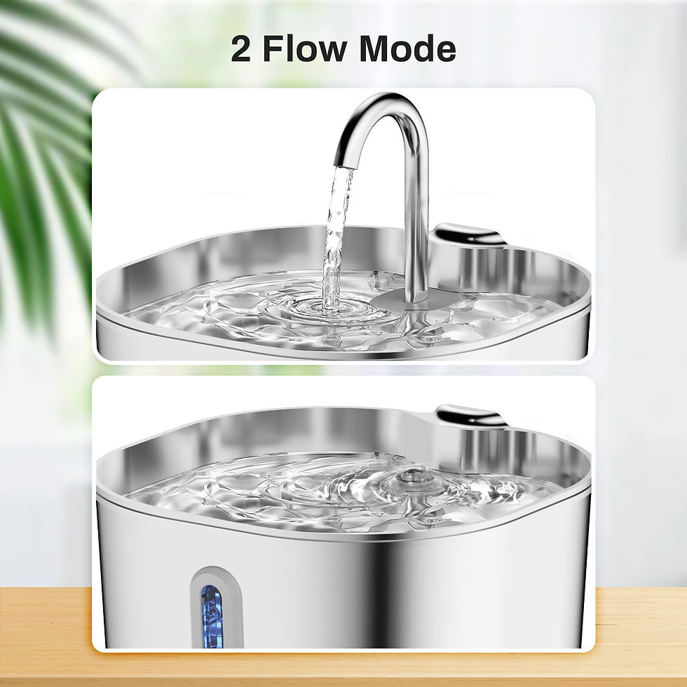 Thumbnail: Automatic Water Fountain 
