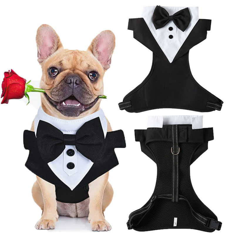Thumbnail: Dog vest