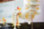 Which is better Osteopathy or Chiropractic Auckland