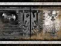 Out now! Hereticum/Wargoatcult Black/war split cd. M.O.T.D-006