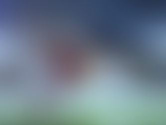 Leadership: why directors should not imitate Mr Mourhino and Mr Ferguson