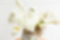 Loreta Daka Product Shoot 4.3.24 - Shaina Lee Photography-58.jpg