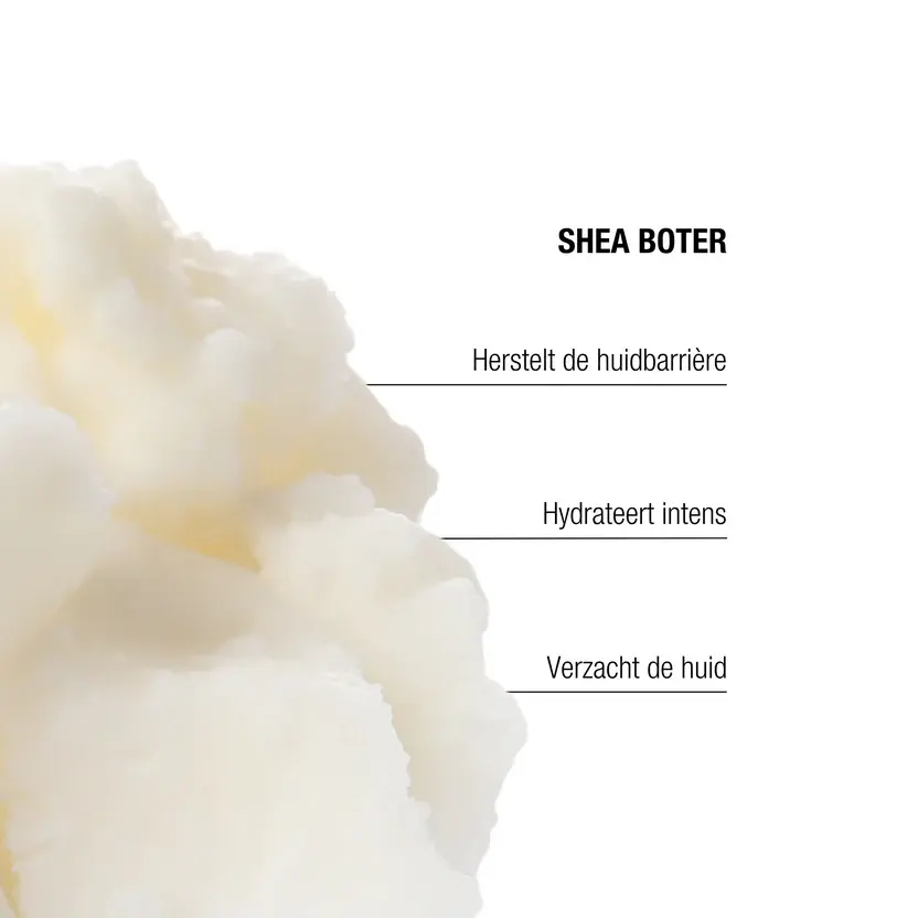 Thumbnail: AGE REPAIR MOISTURIZER