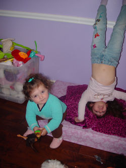 DSC02672-1 (dragged).jpg