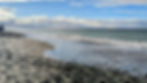 The beach you hike down along the Dungeness Spit trail