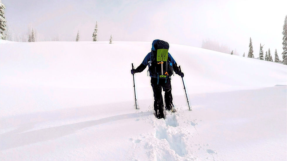 A backpacker trail breaking a snowshoe route between Fourth Crossing and Mazama Ridge in the Paradise Area of Mount Rainier National Park in winter