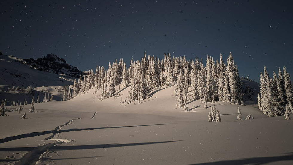 A night time photo of Mazama Ridge, covered in snow, with stars shining brightly in the sky
