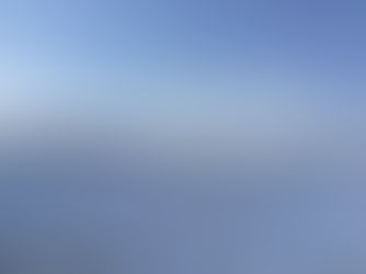 Hitachi Seaside Park | Japan