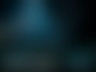 The Resilience of the Stock Market: Factors Driving the 2023 Rally