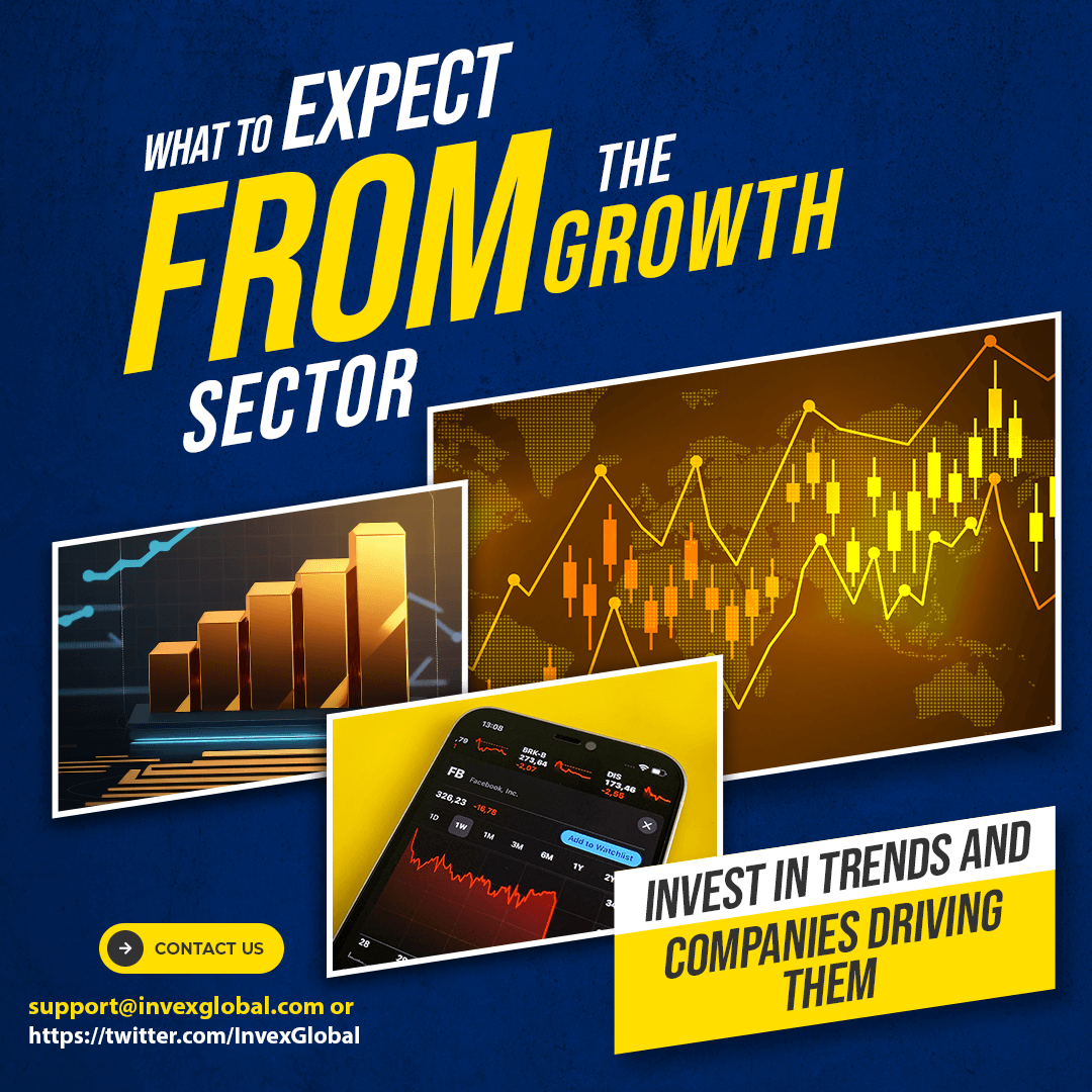what-to-expect-from-the-growth-sector-a-guide-to-investing-in-growth