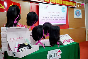 Wigs from the Breast Cancer Network Vietnam hair library