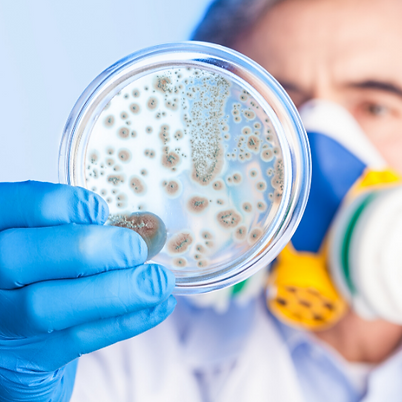 Bacteria.png