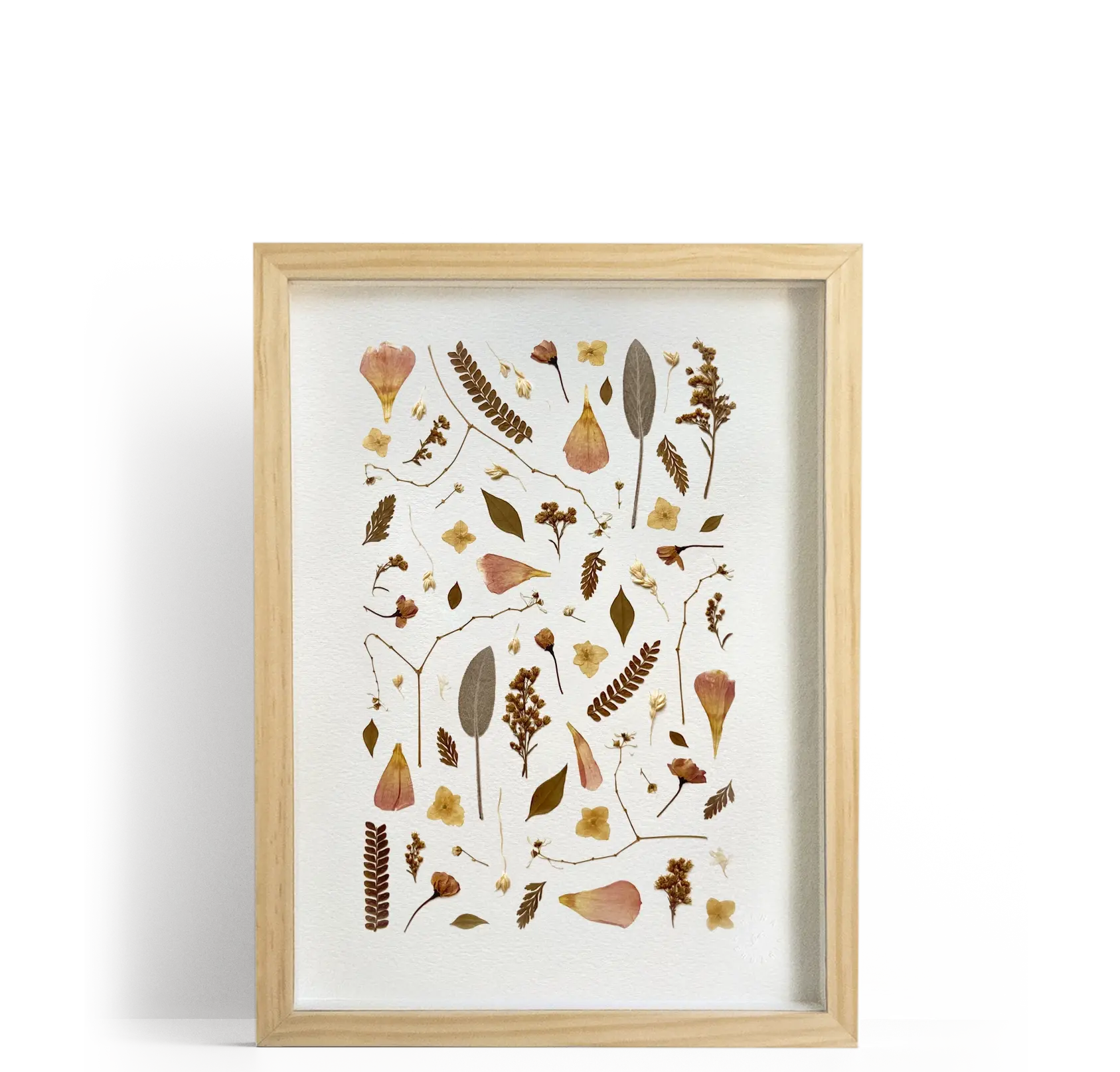 Quadro com Flores Secas | Galhinhos l Tamanho A4