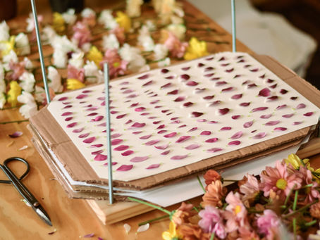Por Que Algumas Flores Mudam de Cor Quando Secam? A Ciência por Trás das Plantas Prensadas