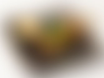 ギラギラか、ふんわりか