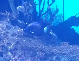 20180729_114849.jpg