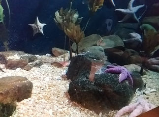 20180729_100741.jpg