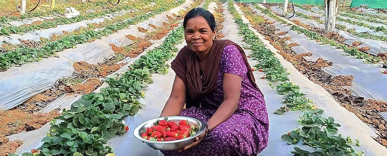 Strawberry