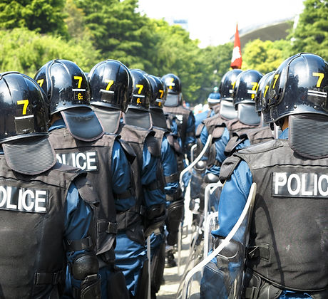 Swat Team