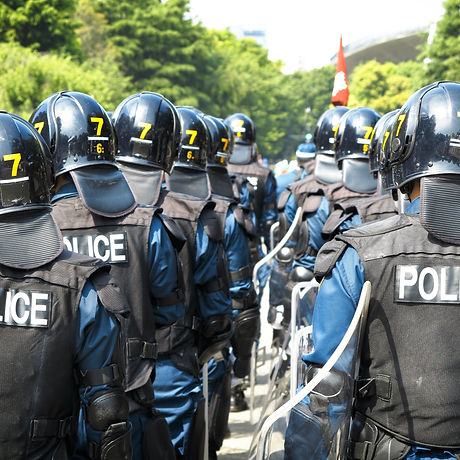 Swat Team