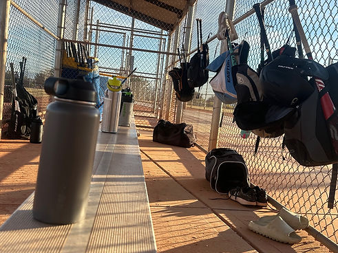 baseball dugout pic.jpeg