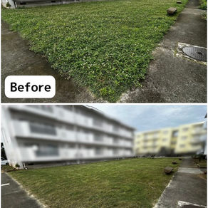 沖縄　団地の草刈り🌱
