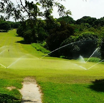 KakaoTalk_20250512_130002985_04.jpg