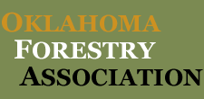 logo.gif
