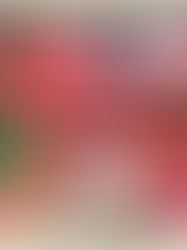 Travis Scott Unveils Astroworld 2021 Lineup Featuring 21 Savage, Lil Baby, SZA, and More