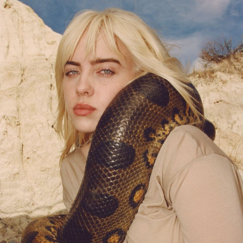Billie Eilish Shares New Single and Video "Your Power" Off 'Happier Than Ever' Album