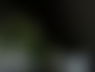 花部@グリーンベアーズカンパニー