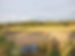 20210903_191229.jpg