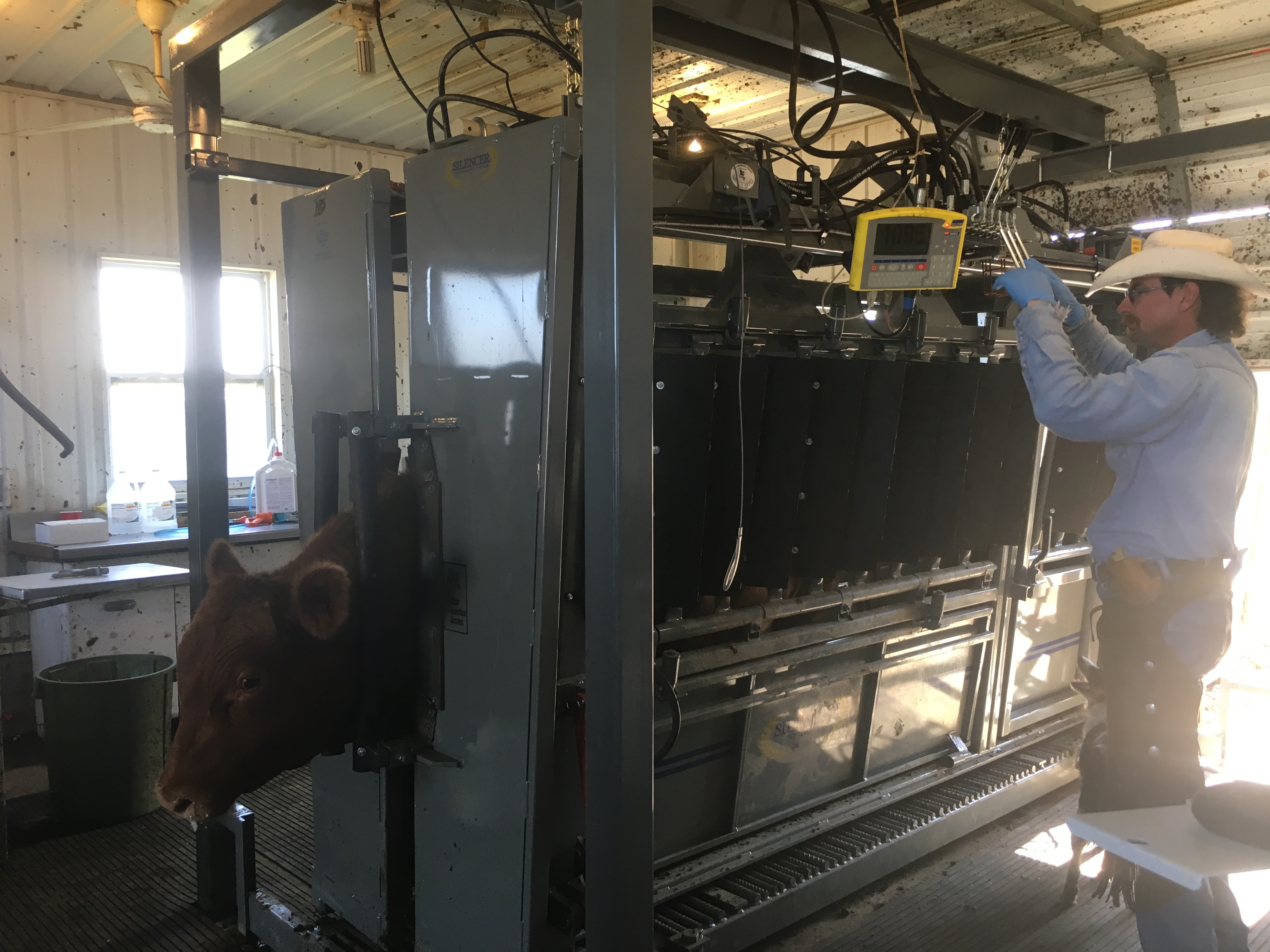 Custom cattle feeder in nebraska burwell feeders llc united states