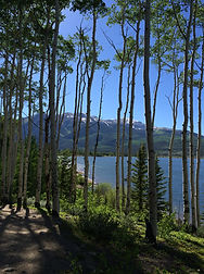 IMG_5710.JPG