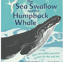 Screenshot 2023-06-19 111619.png