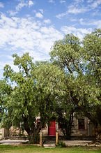 south africa - kliphuis - the karoo - travel-report.nl