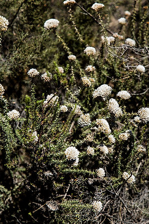 south africa - the karoo - travel-report.nl
