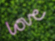 Neon Sign - feature image.jpg