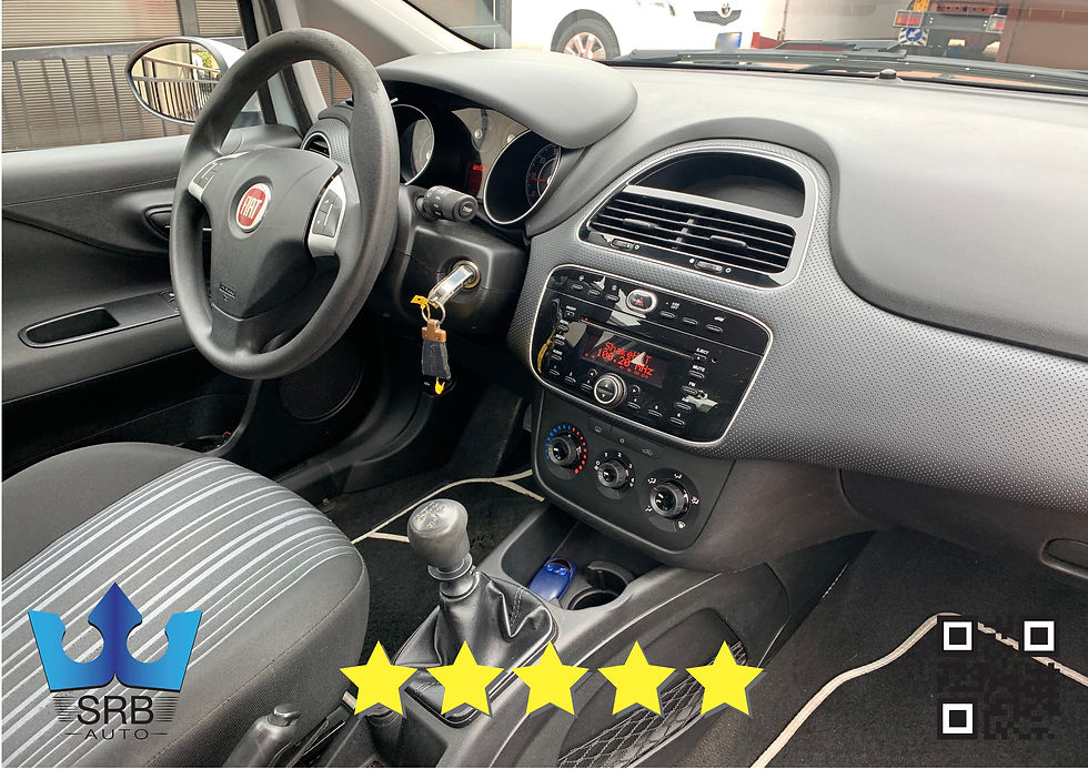 Miniatura: Fiat Punto EVO