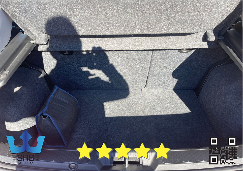 Miniatura: Fiat Punto EVO