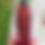 Thumbnail: Didi's  Red Chiffon