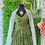 Thumbnail: DIDI DESIGN Chiffon Dress (Avocado Green) 