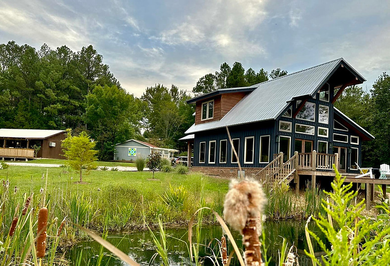 housecattails.jpg