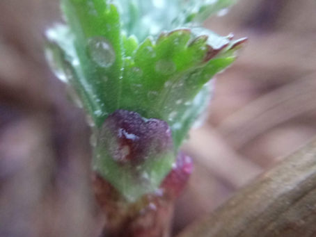 One if by Land & 2 if...