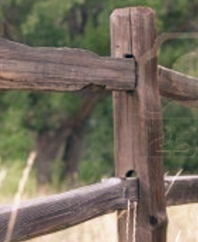 Fences & Fires