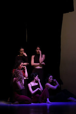 Función I Festival - UAHC