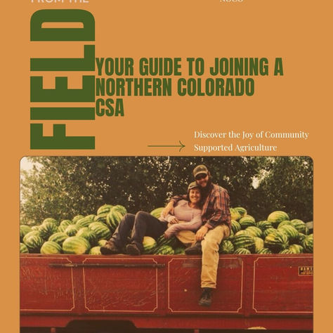 Fresh from the Field: Your Guide to Joining a Northern Colorado CSA