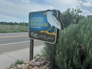 Guatav Swanson Natural Area